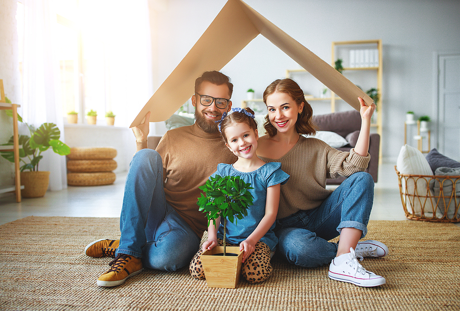 What is a Will?